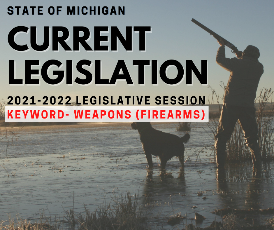 Current State Legislation Firearms/Weapons